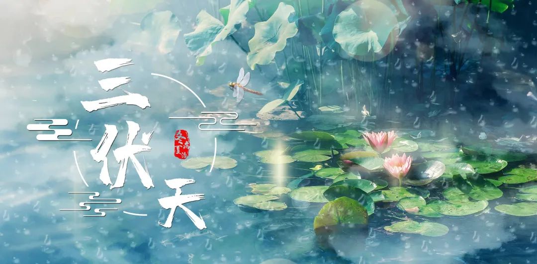 伏“邪”要重視，錯過留病根！艾草三伏貼助力“冬病夏治 春夏養(yǎng)陽”！