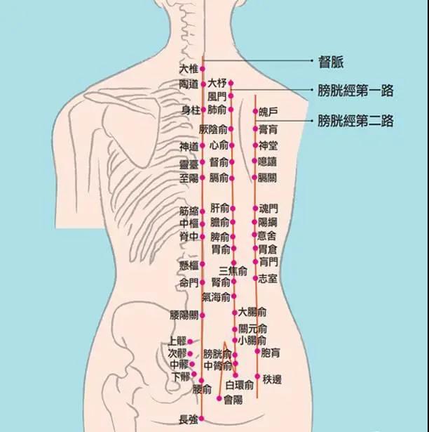 冷熱痛麻酸腫，這是經(jīng)絡(luò)信號(hào)在傳遞身體隱患
